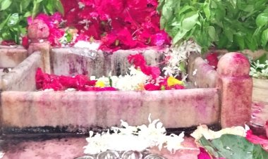 अजा एकादशी पर मां शीतला के दरबार में उमड़ा आस्था का सैलाब, 25 हजार श्रद्धालुओं ने किए दर्शन