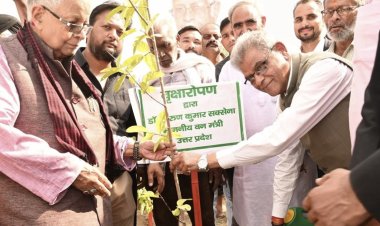 योगी सरकार के 9 साल में 242 करोड़ से ज्यादा पौधे, यूपी का हरित क्षेत्रफल 3.38 लाख एकड़ बढ़ा