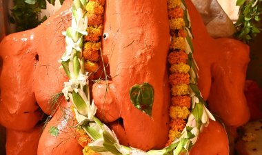 काशी में गणपति बप्पा मोरया की गूंज, पंडालों में विराजे भगवान गणेश; श्री काशी विश्वनाथ धाम में विधि-विधान से हुआ पूजन
