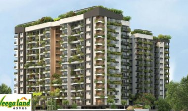 वीगालैंड डेवलपर्स के शेयरों की प्रीमियम लिस्टिंग के बाद गिरावट, लोअर सर्किट पर पहुंचे भाव