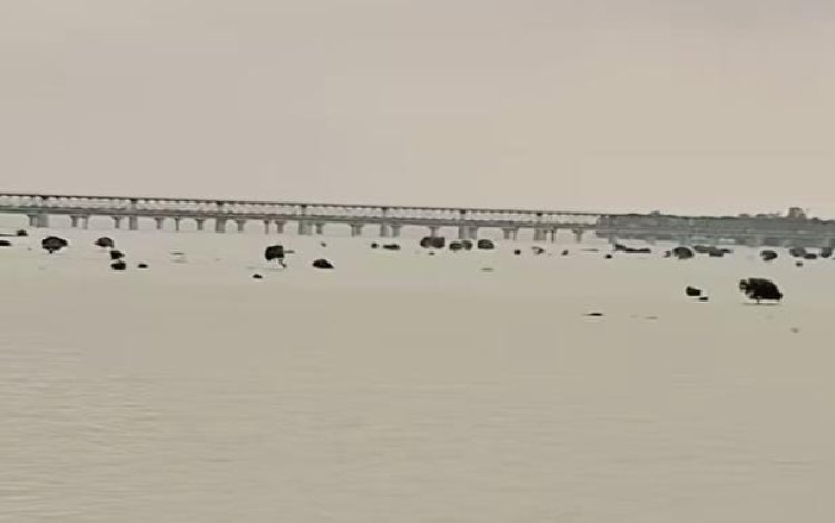 प्रयागराज में गंगा-यमुना का जलस्तर बढ़ा, बाढ़ नियंत्रण कक्ष सतर्क