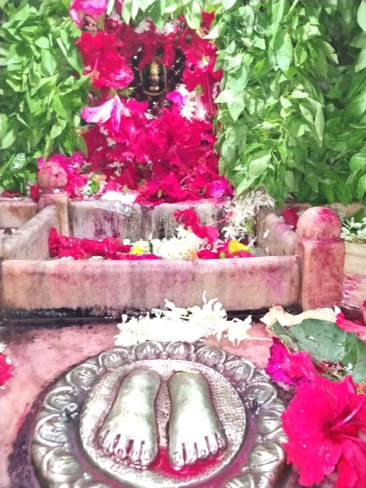 अजा एकादशी पर मां शीतला के दरबार में उमड़ा आस्था का सैलाब, 25 हजार श्रद्धालुओं ने किए दर्शन