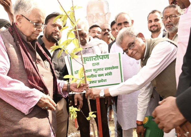 योगी सरकार के 9 साल में 242 करोड़ से ज्यादा पौधे, यूपी का हरित क्षेत्रफल 3.38 लाख एकड़ बढ़ा