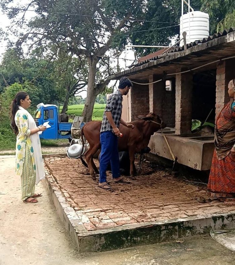 लंपी रोग से बचाव के लिए तेज हुआ टीकाकरण, 40 हजार पशुओं को लगा टीका; 113 गौशालाएं पूरी तरह कवर