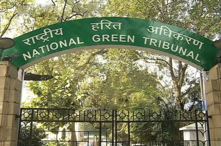 पर्यावरण और जलवायु पर 19 सितंबर से अंतरराष्ट्रीय मंथन, 17 देशों के न्यायिक प्रतिनिधि होंगे शामिल