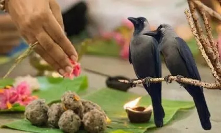 वाराणसी में पितृपक्ष की तैयारियां शुरू, 26 सितंबर से पिशाचमोचन कुंड पर होंगे श्राद्ध-कर्म