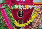 गड़बड़ा धाम में उमड़ा आस्था का सैलाब, मां शीतला के दर्शन को पहुंचे 80 हजार श्रद्धालु