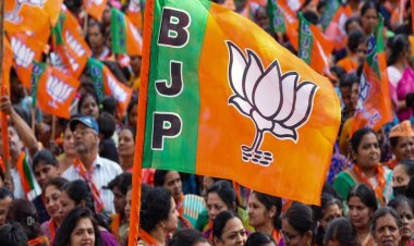 यूपी भाजपा में संगठनात्मक फेरबदल, किसान, महिला, पिछड़ा वर्ग और एसटी मोर्चा के पदाधिकारियों की सूची जारी