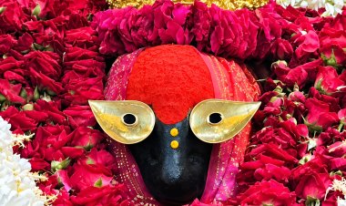 विंध्यधाम नवरात्र मेला: तैयारियां तेज, 72 घंटे बाकी; मेला क्षेत्र में वाहनों की एंट्री रहेगी बंद