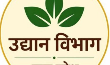 रबी सीजन के लिए नकद मूल्य पर मिलेगा आलू का बीज, पहले आओ -पहले पाओ
