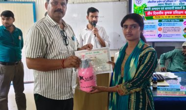प्रयागराज: अक्टूबर-नवंबर में बागों को दें पर्याप्त पोषण, मिलीबग से बचाने के लिए तने पर लगाएं पॉलीथीन पट्टी