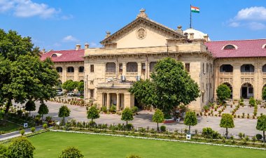 Prayagraj News: 13 वर्षीय दुष्कर्म पीड़िता के गर्भ समापन पर हाईकोर्ट का आदेश, 24 घंटे में सीजेएम के सामने पेशी