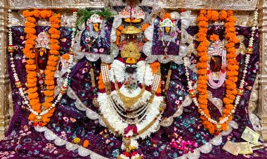 मां कल्याणी देवी सोने की ढेड़िया धारण कर देंगी दर्शन, 24-25 अक्टूबर को महोत्सव