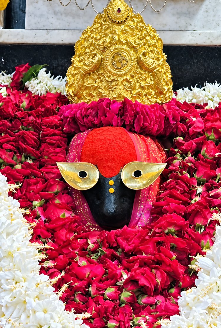विंध्यधाम नवरात्र मेला: तैयारियां तेज, 72 घंटे बाकी; मेला क्षेत्र में वाहनों की एंट्री रहेगी बंद