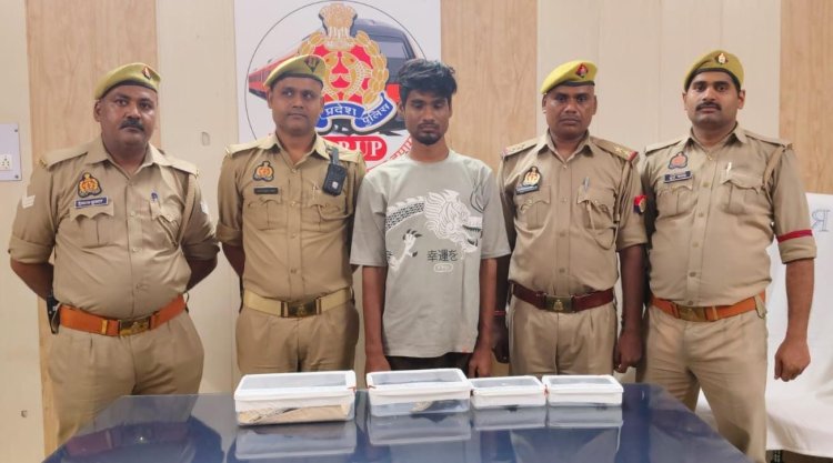 कानपुर सेंट्रल के मंदिर से चार मुकुट चोरी करने का आरोपित गिरफ्तार, 2 लाख से अधिक के मुकुट बरामद